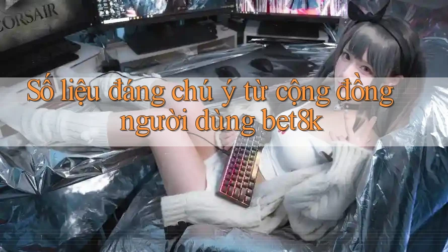 Số liệu đáng chú ý từ cộng đồng người dùng bet8k